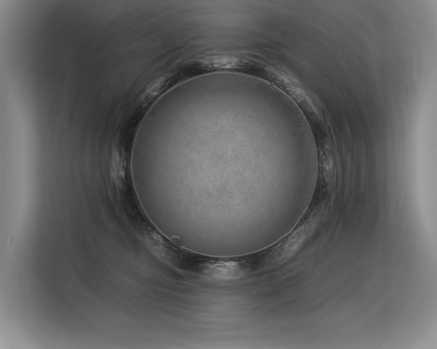 X0000113560374200909181224