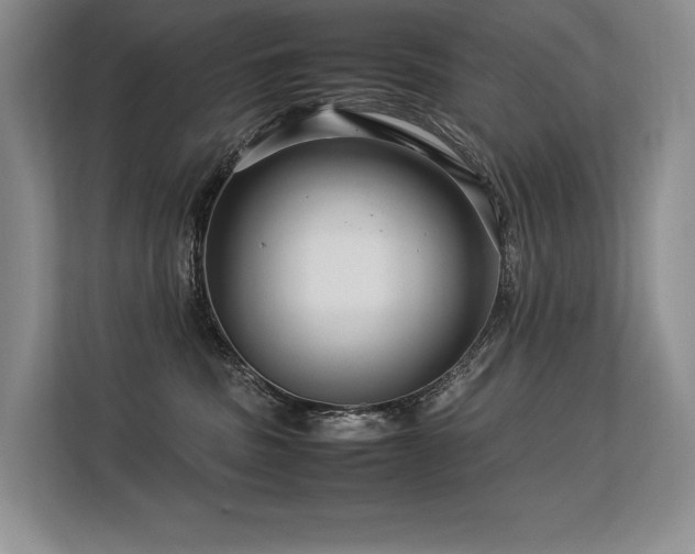 X0000113560379200909181224