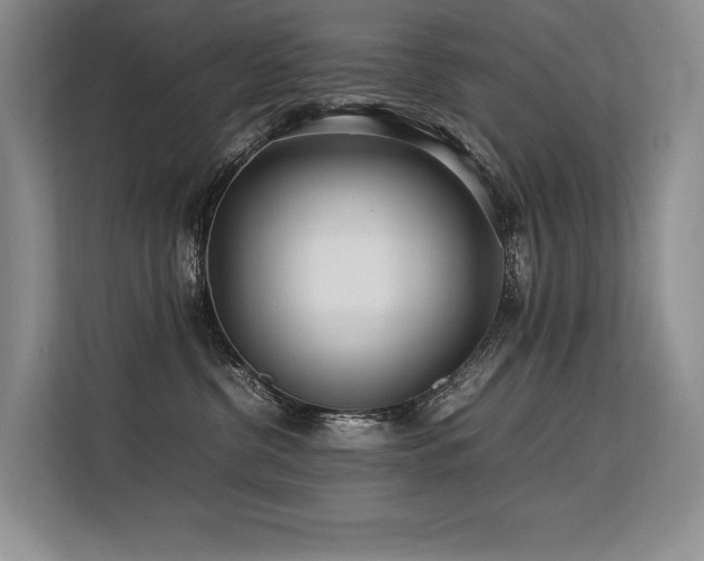 X0000113560380200909181224