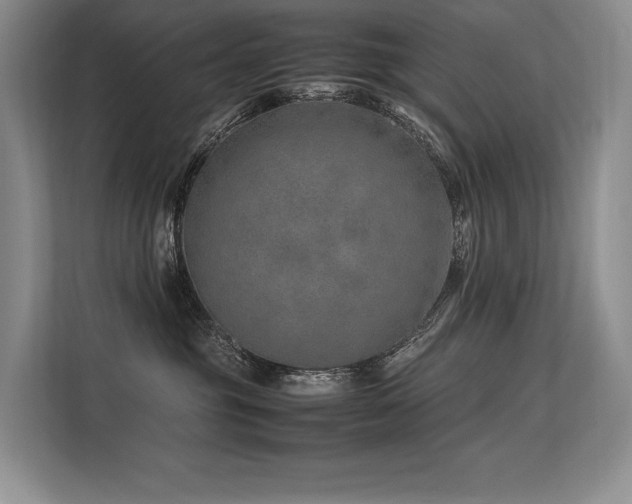 X0000113560381200909181224