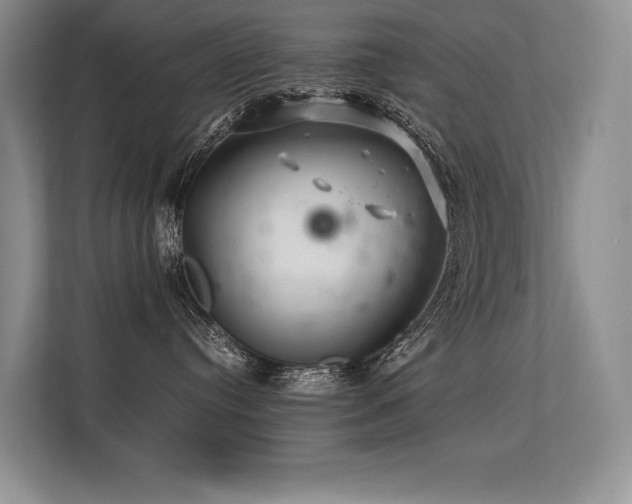 X0000113560384200909181224