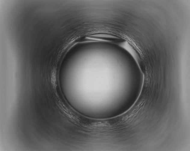 X0000113560386200909181224