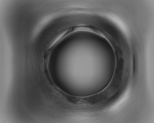 X0000113560387200909181224