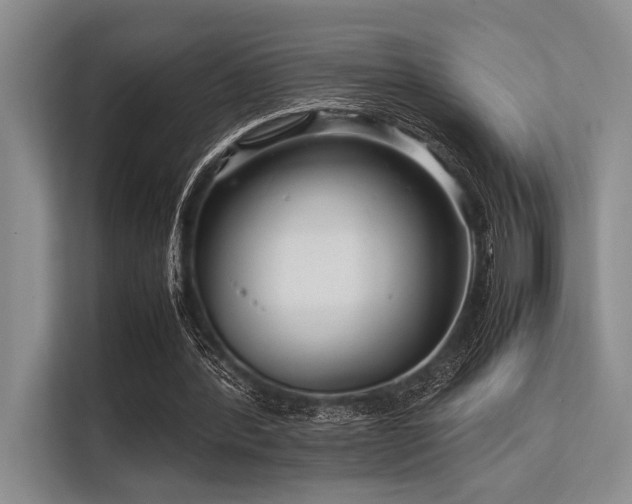 X0000113560388200909181224