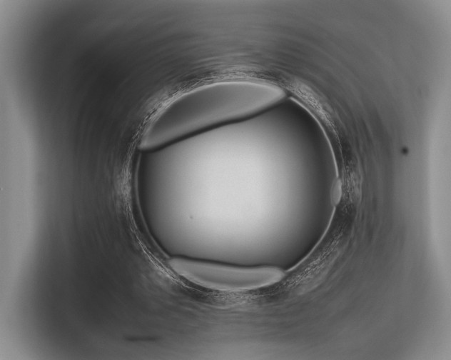 X0000113560389200909181224