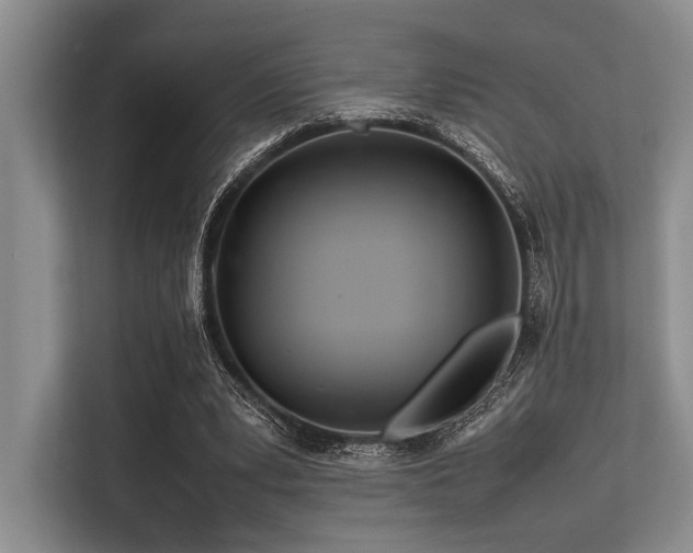 X0000113560391200909181224
