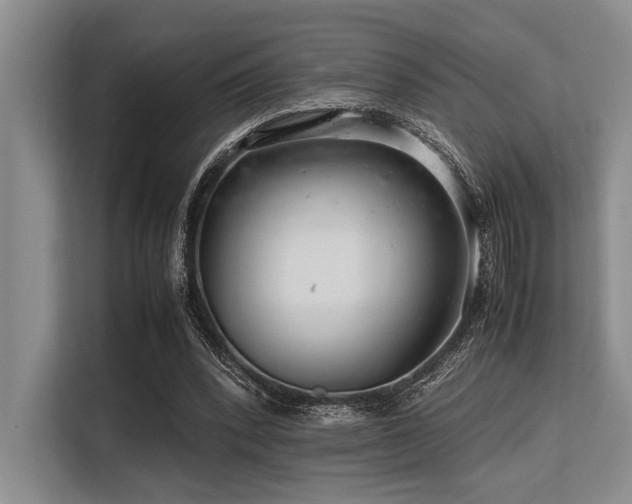 X0000113560392200909181224