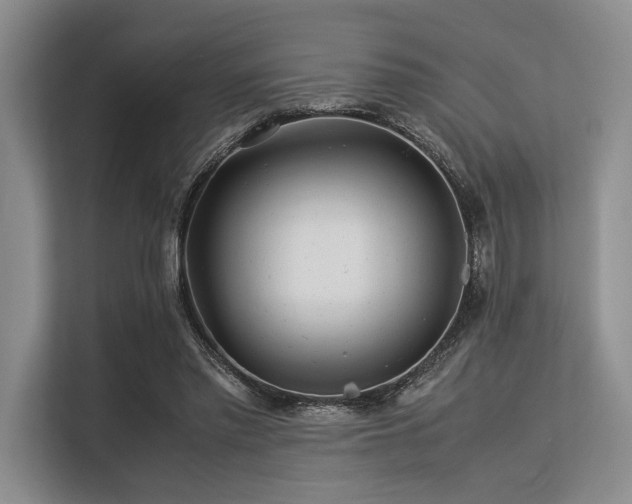 X0000113560397200909181224