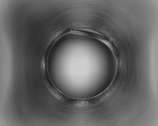X0000113560398200909181224