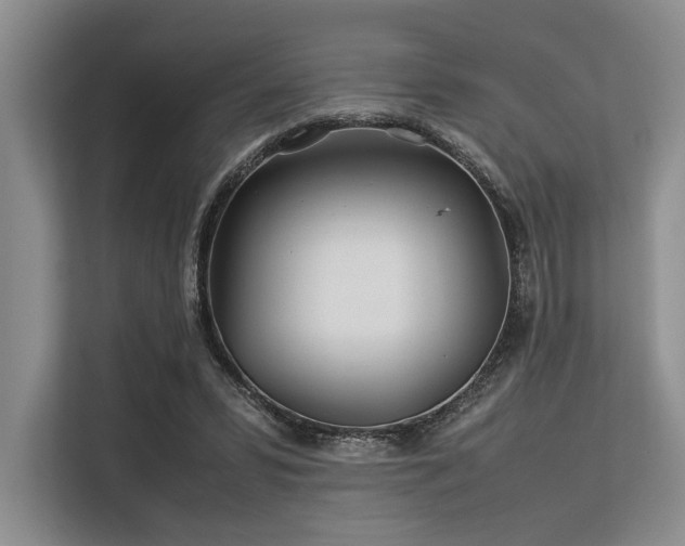 X0000113560399200909181224