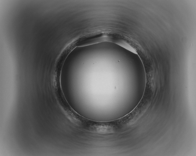 X0000113560400200909181223