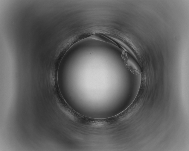 X0000113560402200909181223