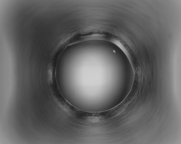 X0000113560404200909181223