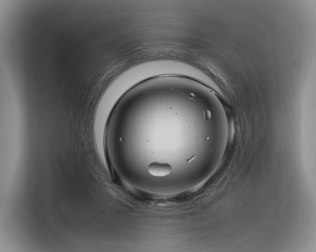 X0000113560407200909181223
