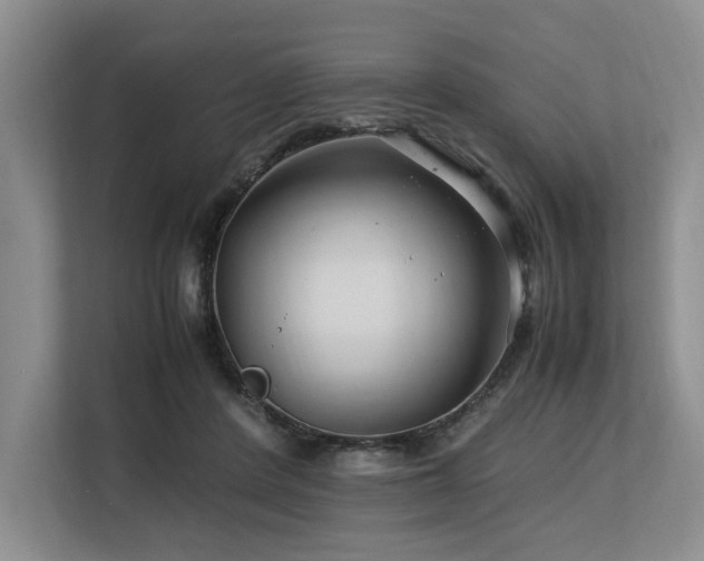 X0000113560408200909181223