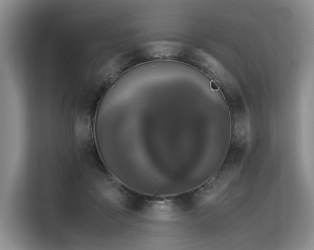 X0000113560411200909181223