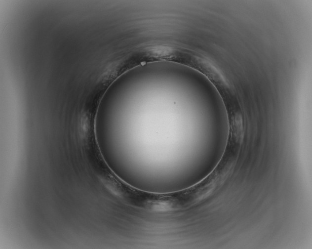 X0000113560412200909181223