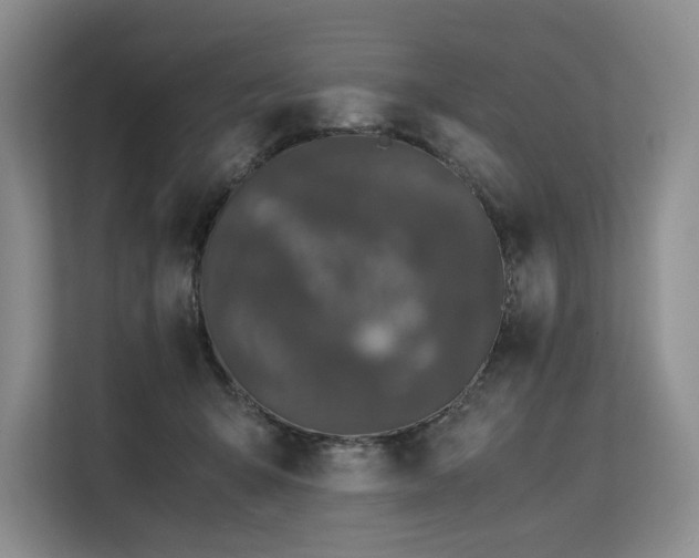 X0000113560415200909181223