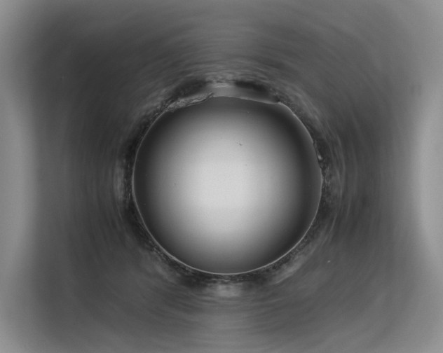 X0000113560416200909181223