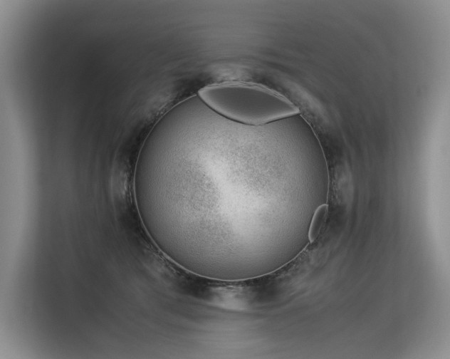 X0000113560417200909181223