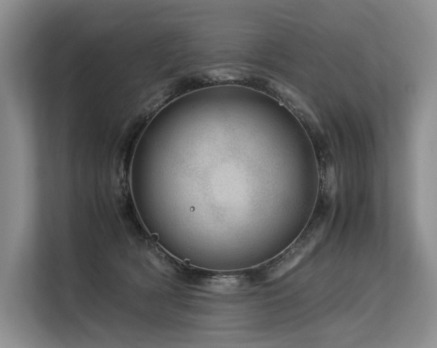 X0000113560418200909181223
