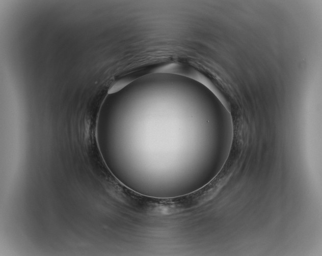 X0000113560420200909181223