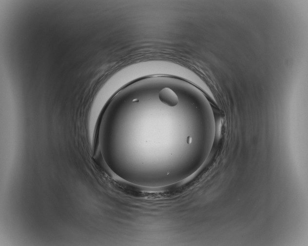 X0000113560423200909181223
