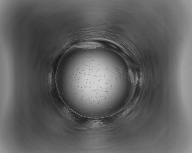 X0000113560424200909181223