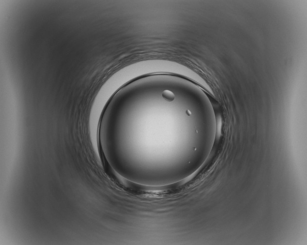 X0000113560425200909181223