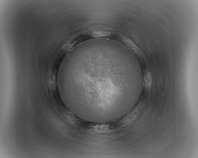 X0000113560426200909181223