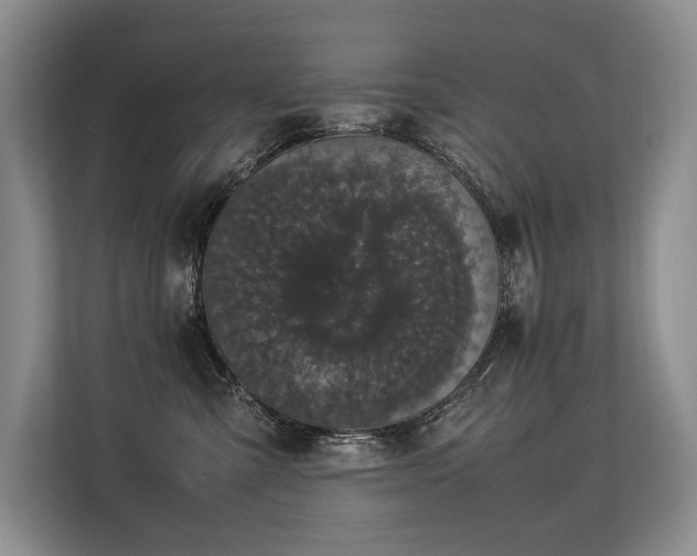 X0000113560427200909181223
