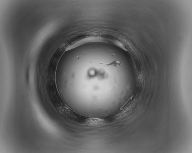X0000113560429200909181223