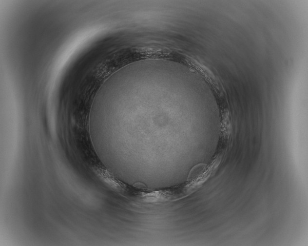 X0000113560430200909181223