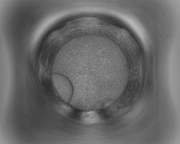 X0000113560431200909181223