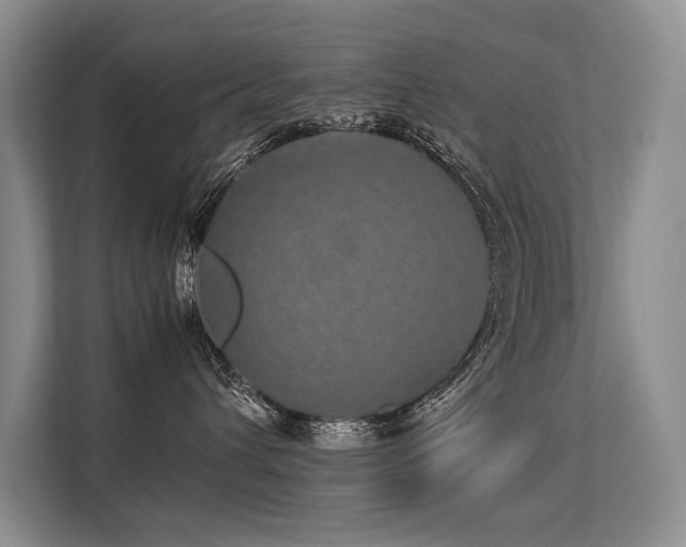 X0000113560432200909181223
