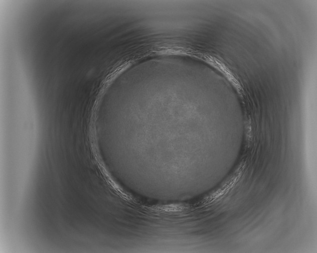X0000113560433200909181222