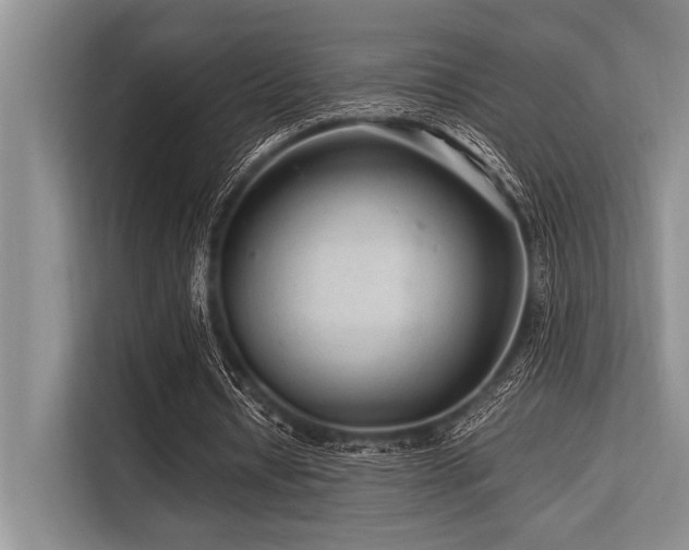 X0000113560434200909181222