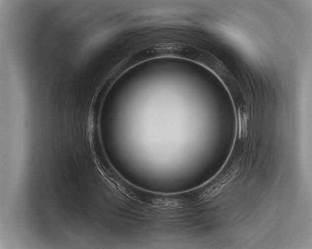 X0000113560435200909181222