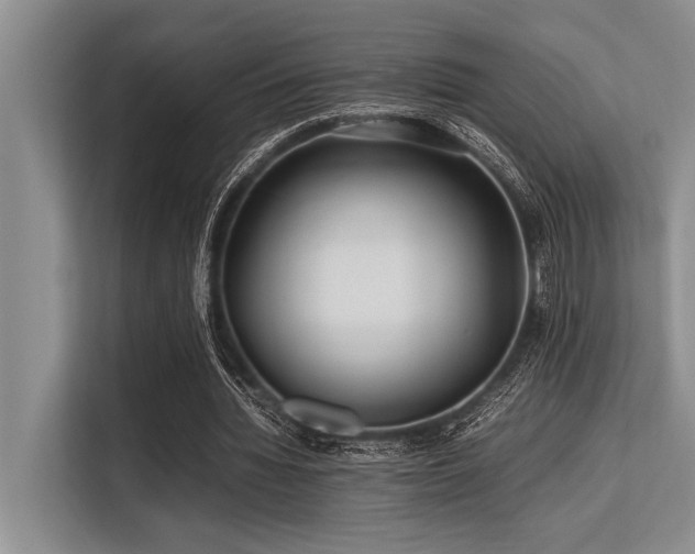 X0000113560436200909181222