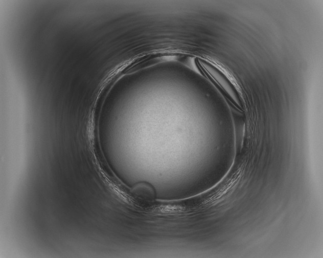 X0000113560437200909181223