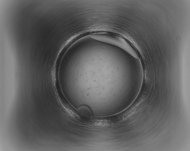 X0000113560438200909181223