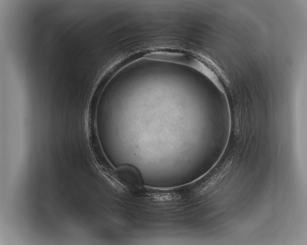 X0000113560439200909181223