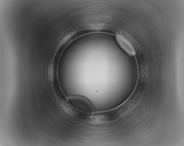 X0000113560440200909181223