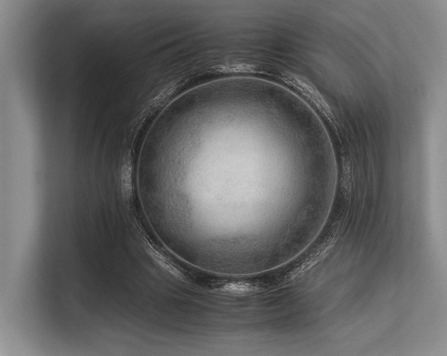 X0000113560441200909181223