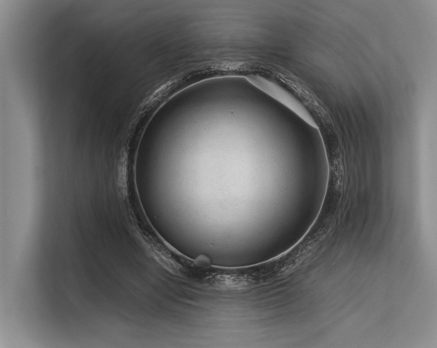 X0000113560442200909181223