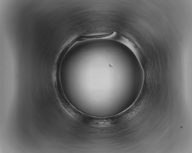 X0000113560443200909181223