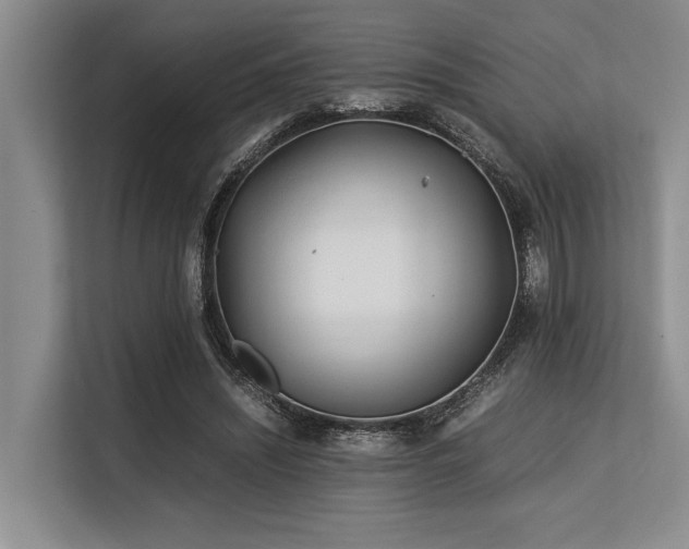 X0000113560444200909181223