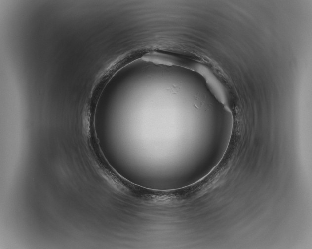 X0000113560446200909181223