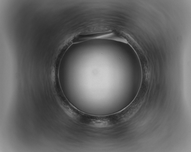 X0000113560447200909181223