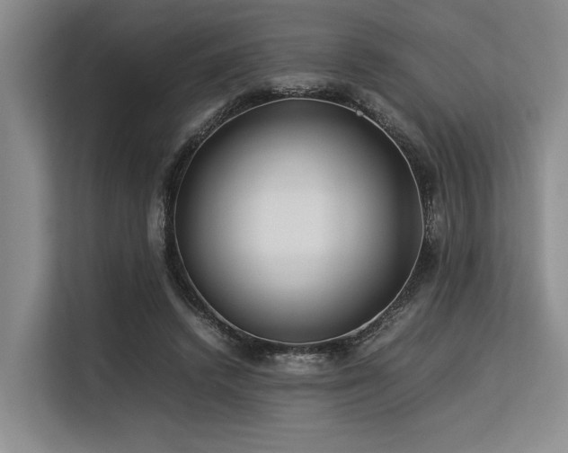 X0000113560448200909181223
